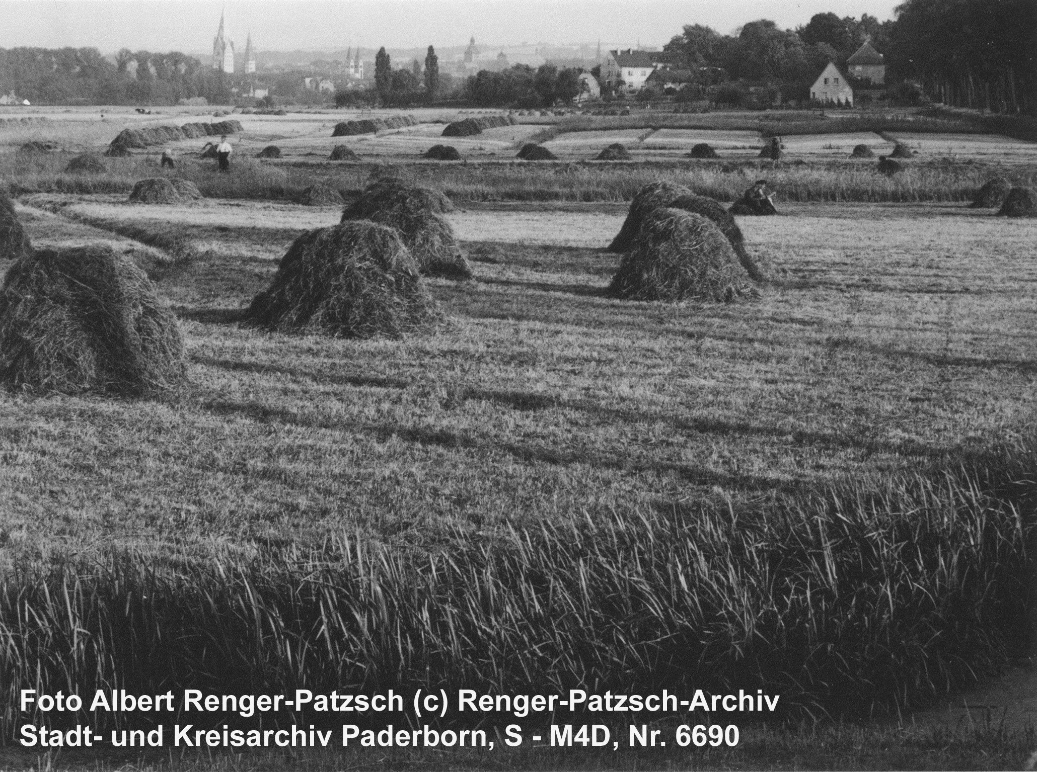 Heuernte auf den Paderwiesen, um 1940 (Kreis- und StadtA Pb, Foto Ferdinand Sieweke, S - M5/01GD, Nr. 136)
